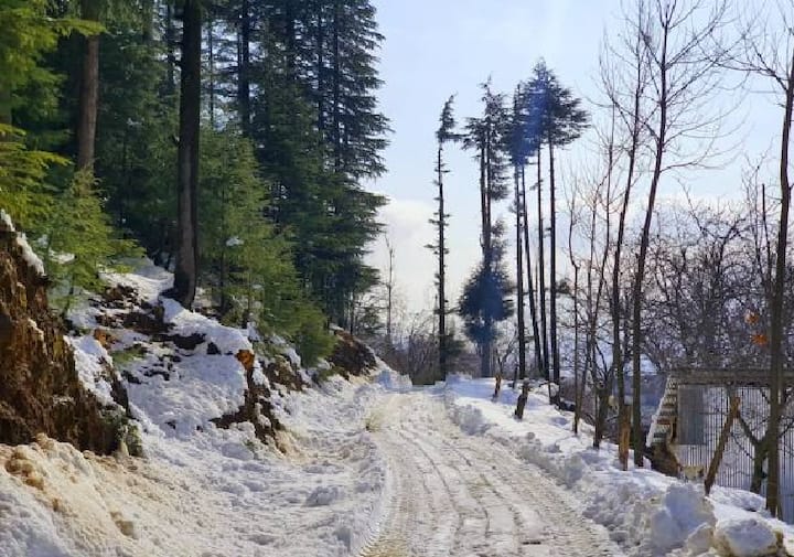 कश्मीर पैकेज में आपको पैसे ऑक्यूपेंसी के हिसाब से देने होंगे. सिंगल ऑक्यूपेंसी पर प्रति व्यक्ति 35,900 रुपये, डबल ऑक्यूपेंसी पर 31,200 रुपये और ट्रिपल ऑक्यूपेंसी पर 29,800 रुपये का शुल्क देना होगा.