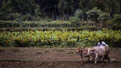 इस राज्य में सरकार किसानों को देगी इतने हजार का बोनस, जान लें