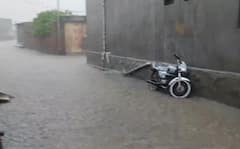 Amreli Rain: અમરેલી જિલ્લામાં ધોધમાર વરસાદ, ધરતીપુત્રો ખુશખુશાલ