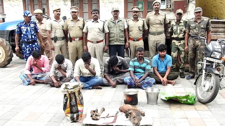 6 persons arrested for hunting deer in Kodaikanal and posting photos on social media கொடைக்கானலில் மான் வேட்டை! 6 பேரை பிடித்து உள்ளே தள்ளிய போலீஸ்!