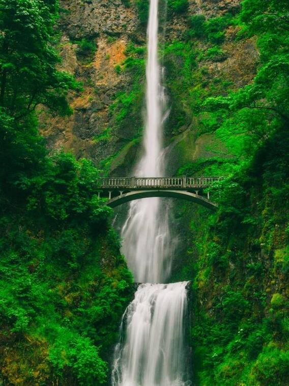 ये हैं दिल्ली के निकट 10 बेहतरीन झरने