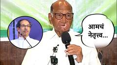 विधानसभा निवडणुकीत उद्धव ठाकरे मुख्यमंत्रिपदाचा चेहरा असतील का? पत्रकाराच्या प्रश्नावर शरद पवारांनी थेट सांगितलं!