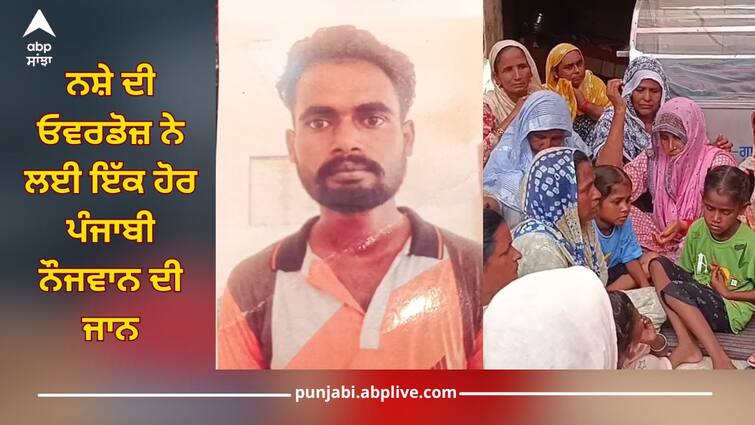 Drug overdose claimed life of another Punjabi, family said drugs are being sold openly in village Mansa News: ਨਸ਼ੇ ਦੀ ਓਵਰਡੋਜ਼ ਨੇ ਲਈ ਇੱਕ ਹੋਰ ਪੰਜਾਬੀ ਨੌਜਵਾਨ ਦੀ ਜਾਨ, ਪਰਿਵਾਰ ਨੇ ਦੱਸਿਆ ਪਿੰਡ 'ਚ ਸ਼ਰੇਆਮ ਵਿਕਦਾ ਨਸ਼ਾ, ਪੁਲਿਸ ਨਹੀਂ ਕਰਦੀ ਕੋਈ ਕਾਰਵਾਈ