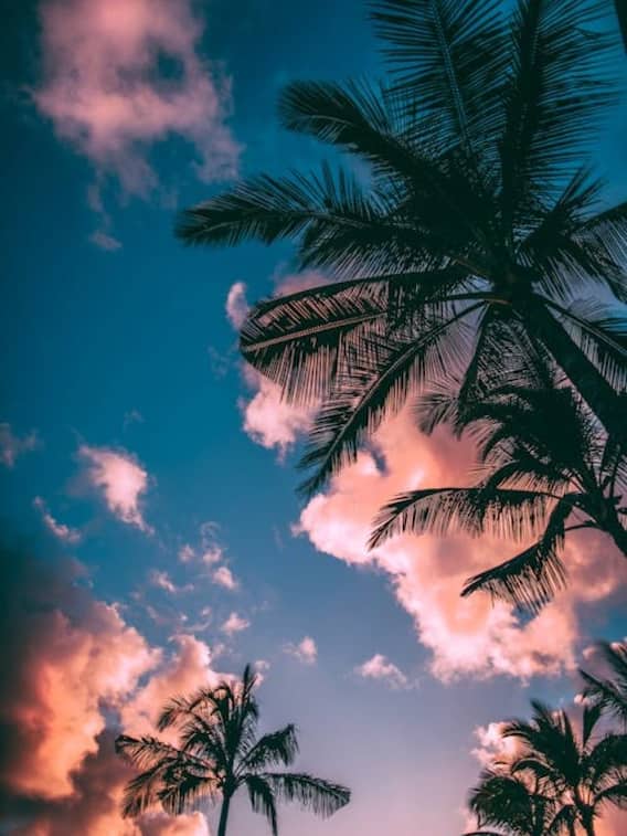 केरल की ये जगहें नहीं लगेंगी किसी जन्नत से कम