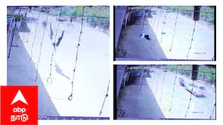 2 வயது குழந்தையுடன் தூக்கி வீசப்பட்ட குடும்பம் - பதைபதைக்க வைத்த பயங்கர விபத்து