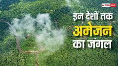 अमेज़न फारेस्ट से जुड़ी ये दिलचस्प बातें नहीं जानते होंगे आप,  इन देशों तक फैला है जंगल