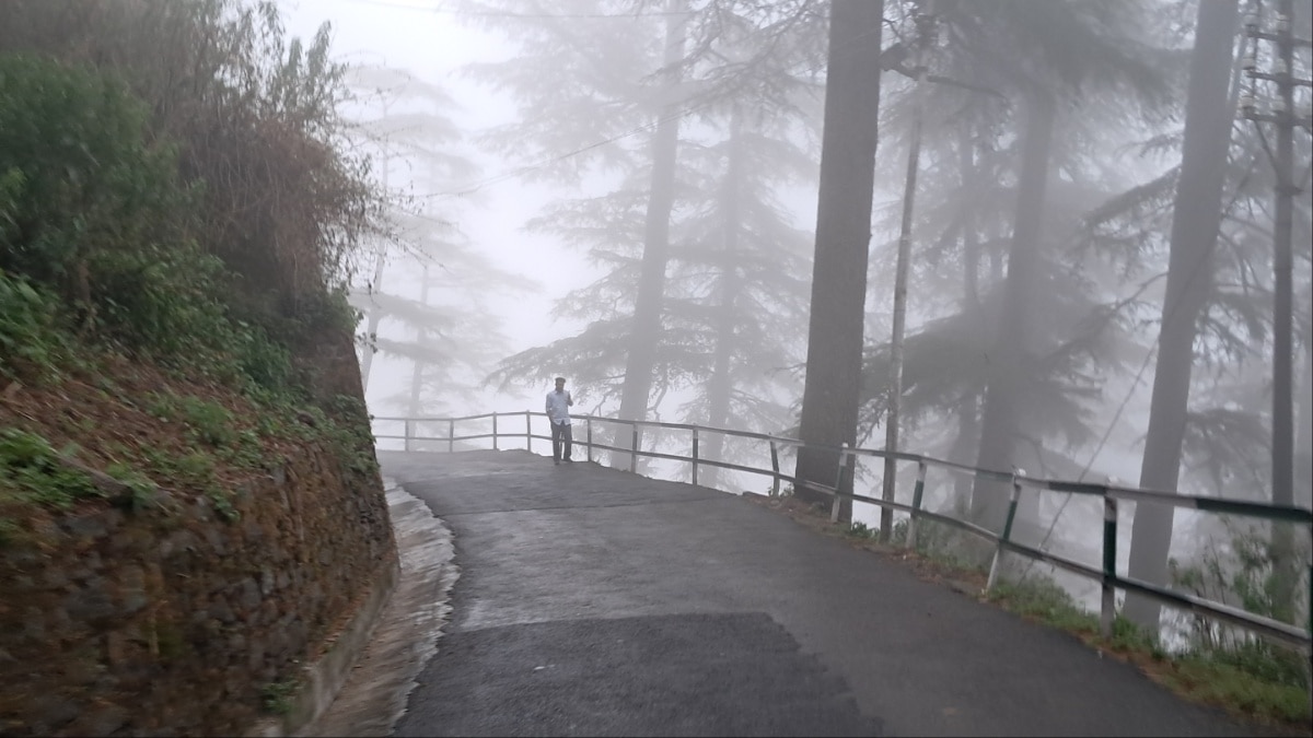 In Pics: बारिश थमते ही धुंध के आगोश में समाया शिमला, देखें मानसून में घिरे हिमाचल की खूबसूरत तस्वीरें