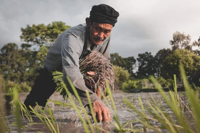 महाराष्ट्र सरकार कपास और सोयाबीन किसानों को 5000 रुपये प्रति हेक्टेयर बोनस देगी. दूध उत्पादक किसानों को 5 रुपये प्रति लीटर की सब्सिडी मिलेगी.