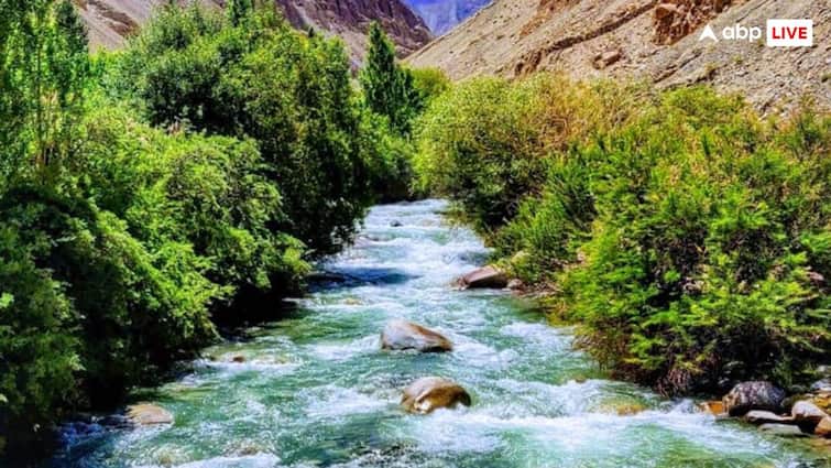How shyok river of Ladakh became the cause of death of 5 soldiers कैसे लद्दाख की ये नदी बन गयी 5 जवानों की मौत का कारण, नाम के पीछे भी है खास वजह