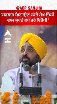 CM Mann | 'ਸਰਕਾਰ ਡਿਗਾਉਣ ਲਈ ਸ਼ੇਖ ਚਿੱਲੀ ਵਾਲੇ ਸੁਪਨੇ ਵੇਖ ਰਹੇ ਵਿਰੋਧੀ '