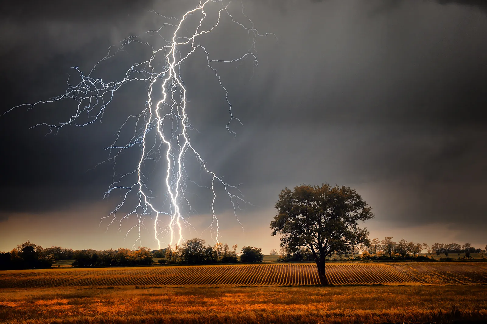 Where does lightning strike the most in India? Lightning Strike: ਭਾਰਤ 'ਚ ਸਭ ਤੋਂ ਵੱਧ ਕਿੱਥੇ ਡਿੱਗਦੀ ਹੈ ਬਿਜਲੀ, ਕਿਹੜੇ ਸੂਬੇ ਦੇ ਲੋਕਾਂ ਲਈ ਜ਼ਿਆਦਾ ਖ਼ਤਰ 