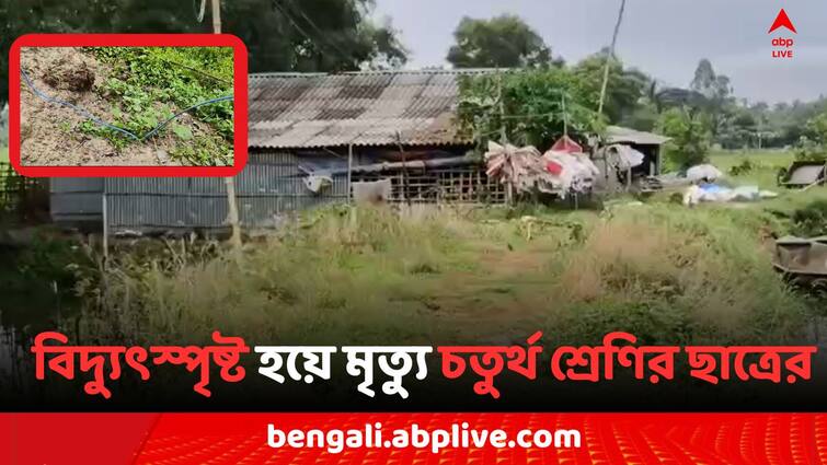 West Bengal Electrocution Death class four student died due to electrocution in  East Midnapore  Mahishadal West Bengal Electrocution Death: বল কুড়োতে গিয়ে তারে লাগল স্কুলপড়ুয়ার হাত, বিদ্যুৎস্পৃষ্ট হয়ে মৃত্যু চতুর্থ শ্রেণির ছাত্রের..