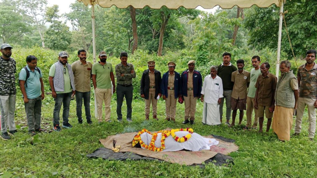 Elephant Died: தாயைப் பிரிந்த குட்டி யானை உயிரிழந்தது: சோகத்தில் மூழ்கிய தெப்பக்காடு: நடந்தது என்ன?