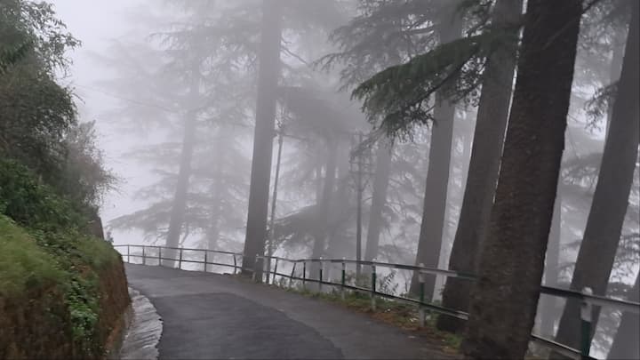 शिमला शहर के धुंध के आगोश में समा जाने के चलते जाने से शहर की सुंदरता में चार चांद लग गए हैं.