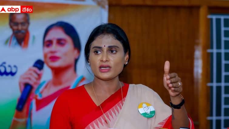 APPCC Chief YS Sharmila alleged that TDP BJP YSRCP reason for pending of Polavaram Project Andhra Pradesh: కర్ణుడి చావుకు సవాలక్ష కారణాలు, ఏపీలో పోలవరం విధ్వంసానికి వాళ్లే కారకులు - వైఎస్ షర్మిల ఫైర్