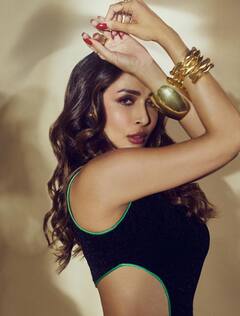 ना कोई फिल्म कर रहीं, ना ही कोई बिज़नेस…फिर कैसे चलता है Malaika Arora का खर्चा?