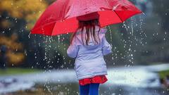 Monsoon: बरसात में घर से बाहर निकलें तो इन बातों का जरूर रखें ख्याल