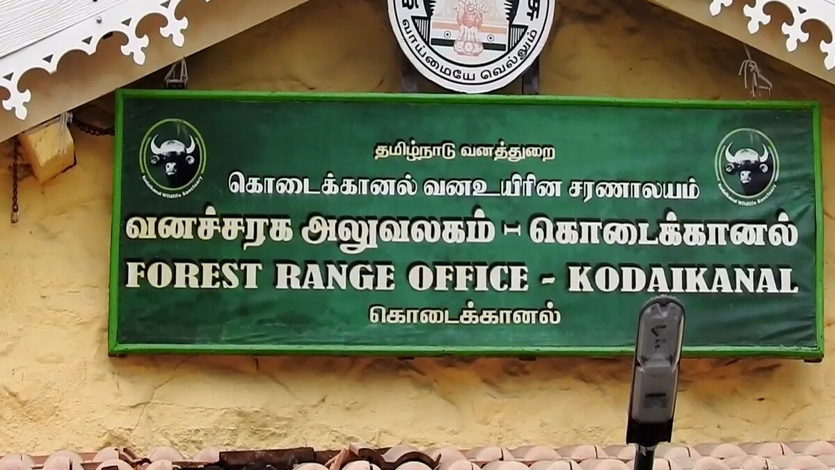 கொடைக்கானலில் மான் வேட்டை! 6 பேரை பிடித்து உள்ளே தள்ளிய போலீஸ்!