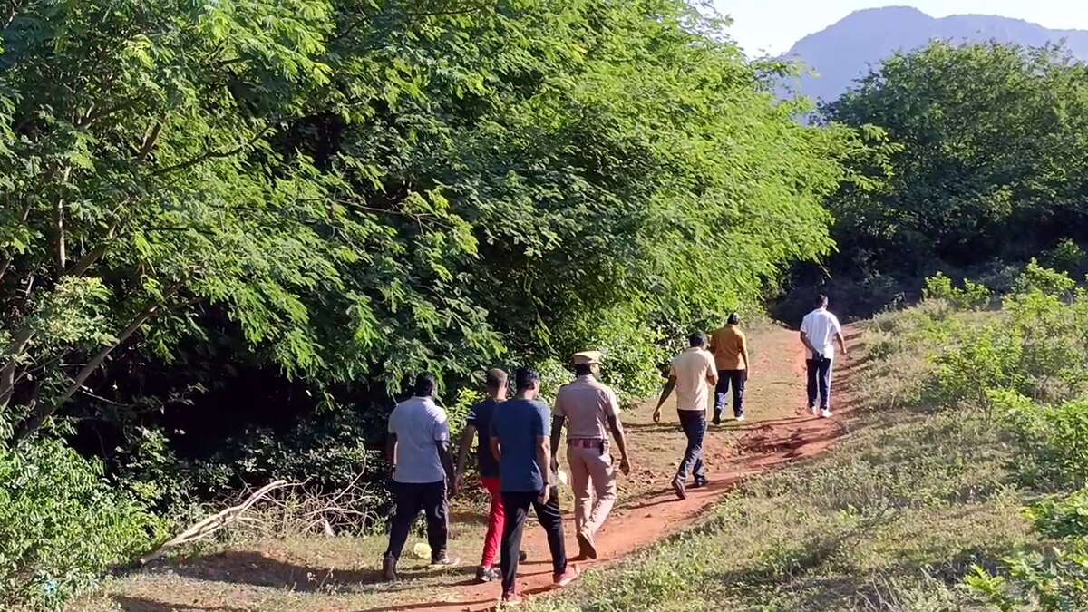 கள்ளச்சாராய வேட்டை; சிறுமலை அடிவார வனப்பகுதியில் 50 போலீஸ் திடீர் சோதனை