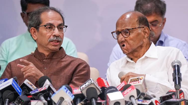 Sharad Pawar Sanjay Raut Uddhav Thackeray Shiv Sena NCP MVA CM Face For Maharashtra Assembly Elections Will Uddhav Thackeray Be MVA's Maharashtra CM Face? Here's What Sharad Pawar Has To Say