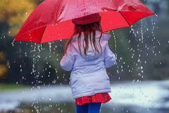 Monsoon: ਬਰਸਾਤ 'ਚ ਘਰ ਤੋਂ ਬਾਹਰ ਨਿਕਲਣ ਵੇਲੇ ਇਨ੍ਹਾਂ ਗੱਲਾਂ ਦਾ ਰੱਖੋ ਖਾਸ ਧਿਆਨ