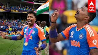 Cricket fans Praising Hardik Pandya India Vs South Africa T20 World Cup Final