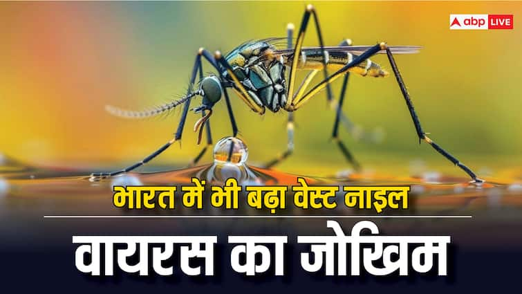 health tips what is west nile disease know its risk symptoms preventive in hindi Health Risk: कितना खतरनाक वेस्ट नाइल वायरस, जिसकी चपेट में इजराइल, जानें भारत में कितना खतरा