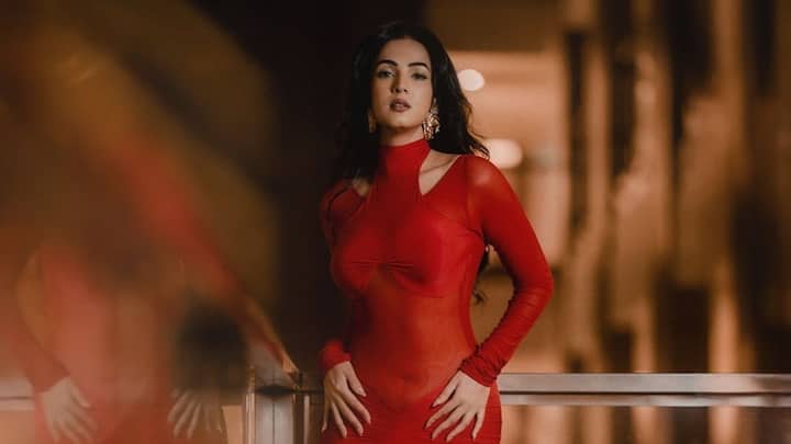 Actress Sonal Chauhan is making fans go gaga over her latest pictures in a fiery red avatar.