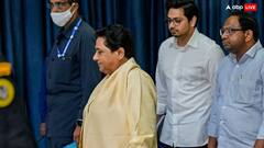 कांशीराम या मायावती... BSP की खोई जमीन वापस पाने के लिए किसके रास्ते पर चलेंगे आकाश आनंद? वरिष्ठ पत्रकार ने किया ये दावा