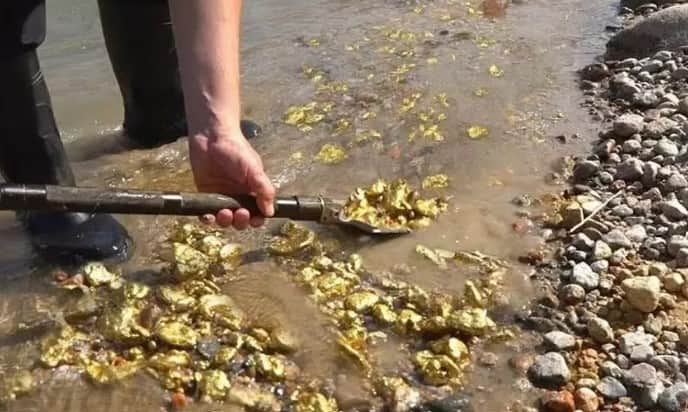 Gold in swarnrekha river in jharkhand Gold in River: ਨਦੀ ਵਿੱਚ ਵਹਿ ਰਿਹਾ ਸੋਨਾ! ਇਕੱਠਾ ਕਰਨ ਲਈ ਲੋਕਾਂ ਦੀ ਲੱਗਦੀ ਭੀੜ