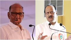 महाराष्ट्र विधानसभा चुनाव से पहले अजित पवार को झटका! चाचा शरद पवार के गुट में शामिल हो सकते हैं ये नेता