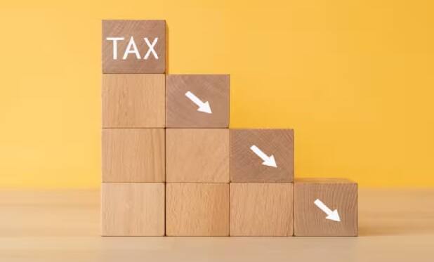 Tax Saving Tips: પગારદાર વર્ગના કરદાતાઓ ટેક્સ બચાવવા માટે ઘણી યુક્તિઓ અપનાવે છે. અમે તમને ટેક્સ બચાવવામાં મદદરૂપ કેટલીક સ્કીમ્સ વિશે જણાવી રહ્યા છીએ.દરેક કામ કરતી વ્યક્તિ શક્ય તેટલો ટેક્સ બચાવવાનો પ્રયાસ કરે છે, પરંતુ કેટલીકવાર ટેક્સ બચાવવા ખૂબ મુશ્કેલ હોય છે.