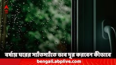 বর্ষার দিনে স্যাঁতস্যাঁতে হয়ে যায় ঘর, অস্বস্তিকর গন্ধ হতে পারেন অসুস্থ, সমস্যা দূর করবেন কীভাবে?