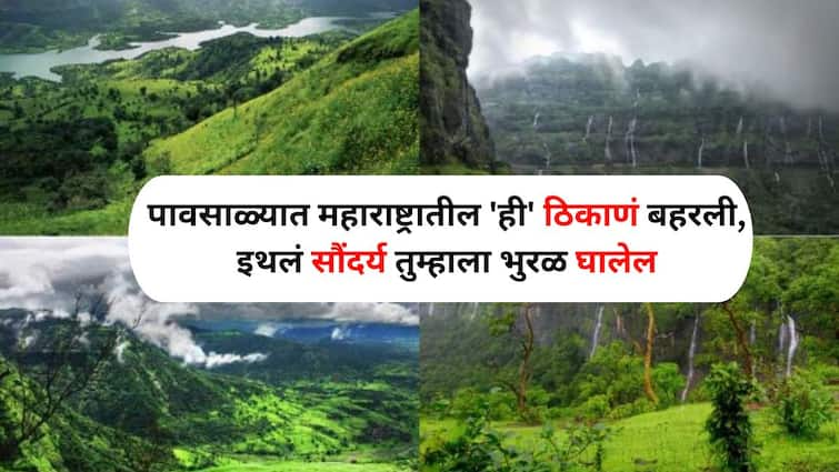 Monsoon Travel lifestyle marathi news These places in Maharashtra bloom in monsoons beauty will mesmerize you Monsoon Travel : मन उधाण..सोबतीला पाऊस..हिरवा निसर्ग! पावसाळ्यात महाराष्ट्रातील 'ही' ठिकाणं बहरली, इथलं सौंदर्य तुम्हाला भुरळ घालेल