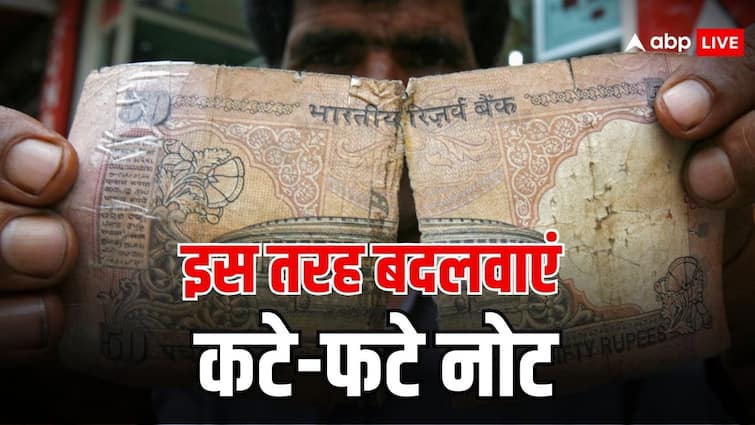 bank rules for torn currency notes exchange know how can avail the facility क्या बैंक में बदल सकते हैं कटे-फटे नोट? जान लें नियम