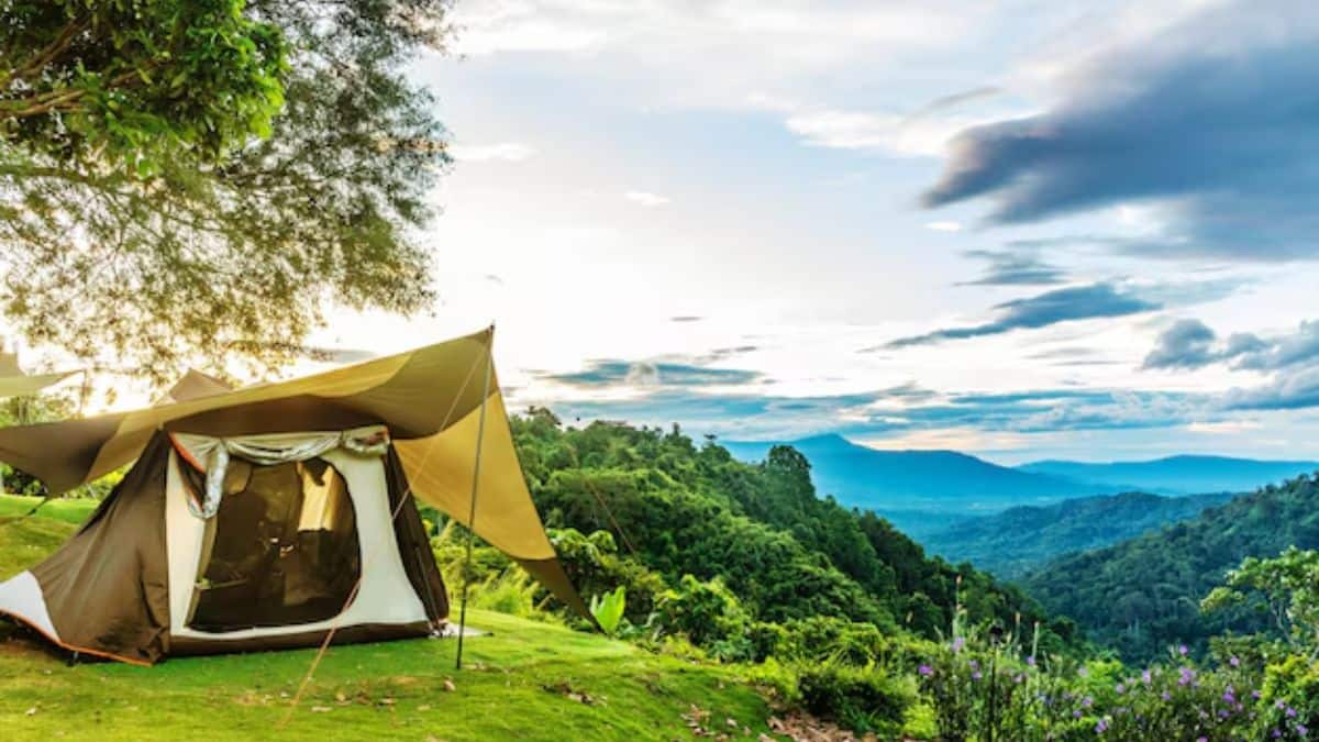 Travel : कमी गर्दी.. निसर्गाचा मनमुराद आनंद घ्याल! जेव्हा केरळमध्ये लपलेल्या 'या' ठिकाणी जुलैमध्ये भेट द्याल