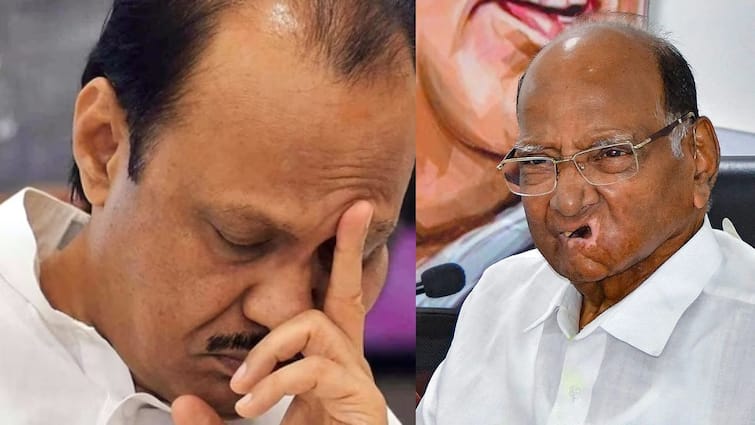 Ajit Pawar camp 16  corporators in pimpri chinchwad meets Sharad Pawar with ajit Gavhane Ajit Pawar Camp: पिंपरी-चिंचवडमध्ये अजितदादांच्या बालेकिल्ल्याचे चिरे ढासळायला सुरुवात, शरद पवारांना भेटलेले ते 8 नगरसेवक कोण?