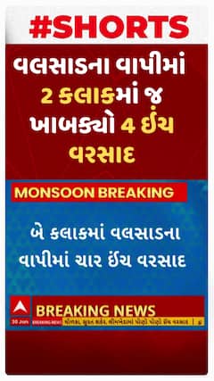 Valsad Rain | વલસાડના વાપીમાં 2 કલાકમાં 4 ઇંચ વરસાદ