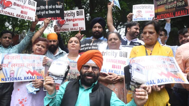 National Akali Dal protest against irregularities in electricity meters Paramjit Singh Pamma ann Delhi News: नेशनल अकाली दल ने बिजली कंपनियों के खिलाफ किया प्रदर्शन, कर दी ये बड़ी मांग