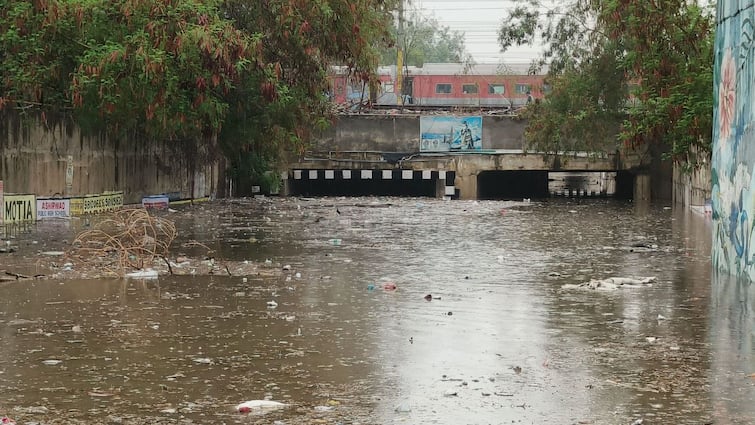 Heavy Rains Cause Chaos In Gujarat Severe Waterlogging Reported In Surat Amreli Valsad Ahmedabad Severe Waterlogging, Road Collapse, Uprooted Trees: Heavy Rains Cause Chaos In Gujarat