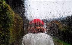 Monsoon: ਬਰਸਾਤ 'ਚ ਘਰ ਤੋਂ ਬਾਹਰ ਨਿਕਲਣ ਵੇਲੇ ਇਨ੍ਹਾਂ ਗੱਲਾਂ ਦਾ ਰੱਖੋ ਖਾਸ ਧਿਆਨ