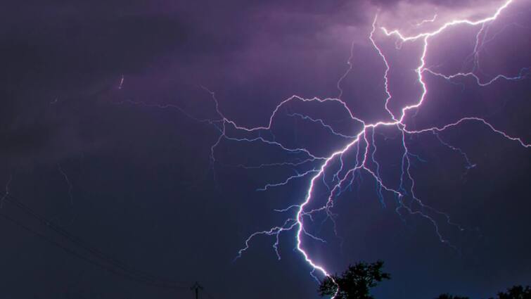 Bihar Weather 12 People Died in 24 Hours in Bihar Due to Lightning CM Nitish Kumar Expressed Grief Bihar Weather Today: सावधान! आसमान से कहर बनकर गिर रही बिजली, बिहार में 24 घंटे में 12 लोगों की मौत