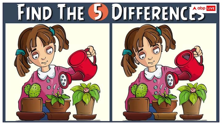 आपको  पौधे  में पानी डालती हुई लड़की की  तस्वीर दिख रही होगी, जिसमें आपको दो एक जैसे भाग दिख रहे होंगे. बस यही आपके लिए चुनौती है. दी गई तस्वीर  में आपको करना क्या है कि इस तस्वीर में छिपे हुए 5 अंतर ढूंढ कर निकालने हैं.