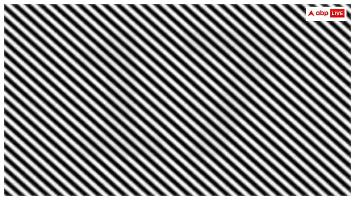 Optical illusion: इस तस्वीर में आपके लिए चैलेंज है छिपे हुए नंबर को खोजना. दिए गए ऑप्टिकल इल्यूजन में छिपे हुए नंबर को खोज पाएंगे आप?