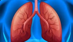 વધુ પડતી ખાંડ ખાવાથી કિડની અને લીવર સિવાય ફેફસાને થાય છે નુકસાન, જાણો કઈ રીતે  