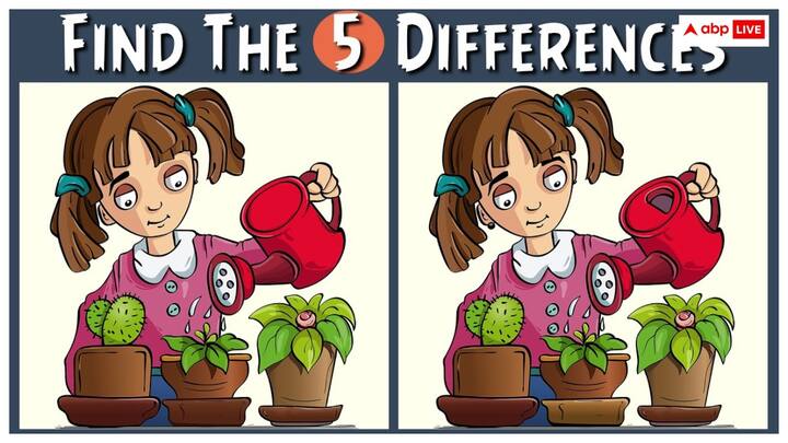 क्या आप इसे खोज पा रहे हैं ? दिमाग और आंख को एक दम रिलेक्स  छोड़ दीजिए और गौर करके देखिए, आपको इसमें 5 अंतर दिखाई देंगे.