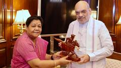 'Every Section Of Society Been Affected': Manipur Gov Says She Has Urged Centre To Resolve Ethnic Crisis In State