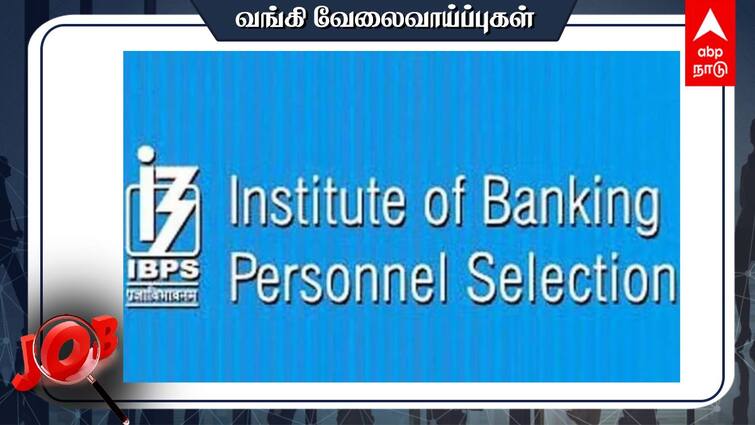 IBPS Clerk Recruitment 2024 Common Recruitment Process for Recruitment Check and Details IBPS Clerk Recruitment 2024: டிகிரி போதும்: வங்கிகளில் அரசு வேலை, 6 ஆயிரம் பணியிடங்கள்- முழு விவரம் இதோ!