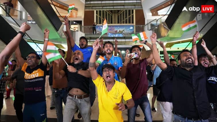 टी20 वर्ल्ड कप फाइनल में भारत की जीत से क्विक कॉमर्स की चांदी, रेस्टोरेंट-बार को भी प्रॉफिट