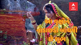 Puja Path: આ 5 વૃક્ષને નાડાછડી બાંધવાથી પૂરી થાય છે મનોકામના, ખુલી જાય છે ભાગ્ય